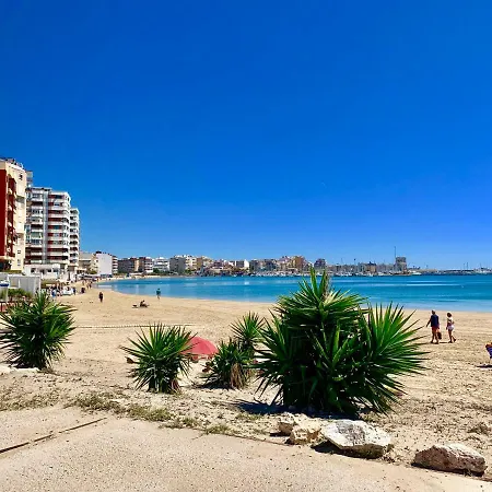 公寓 Apartamento Calle Valencia 托雷维耶哈